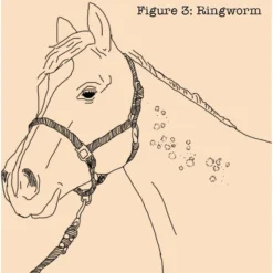 Absorbine Fungasol Fungal Treatment Horse Spray 9 Absorbine Fungasol Fungal Treatment Horse Spray -Weaver Leather || Finish Line || Cavalor Shop 199494 PT4. AC SS1800 V1685131783