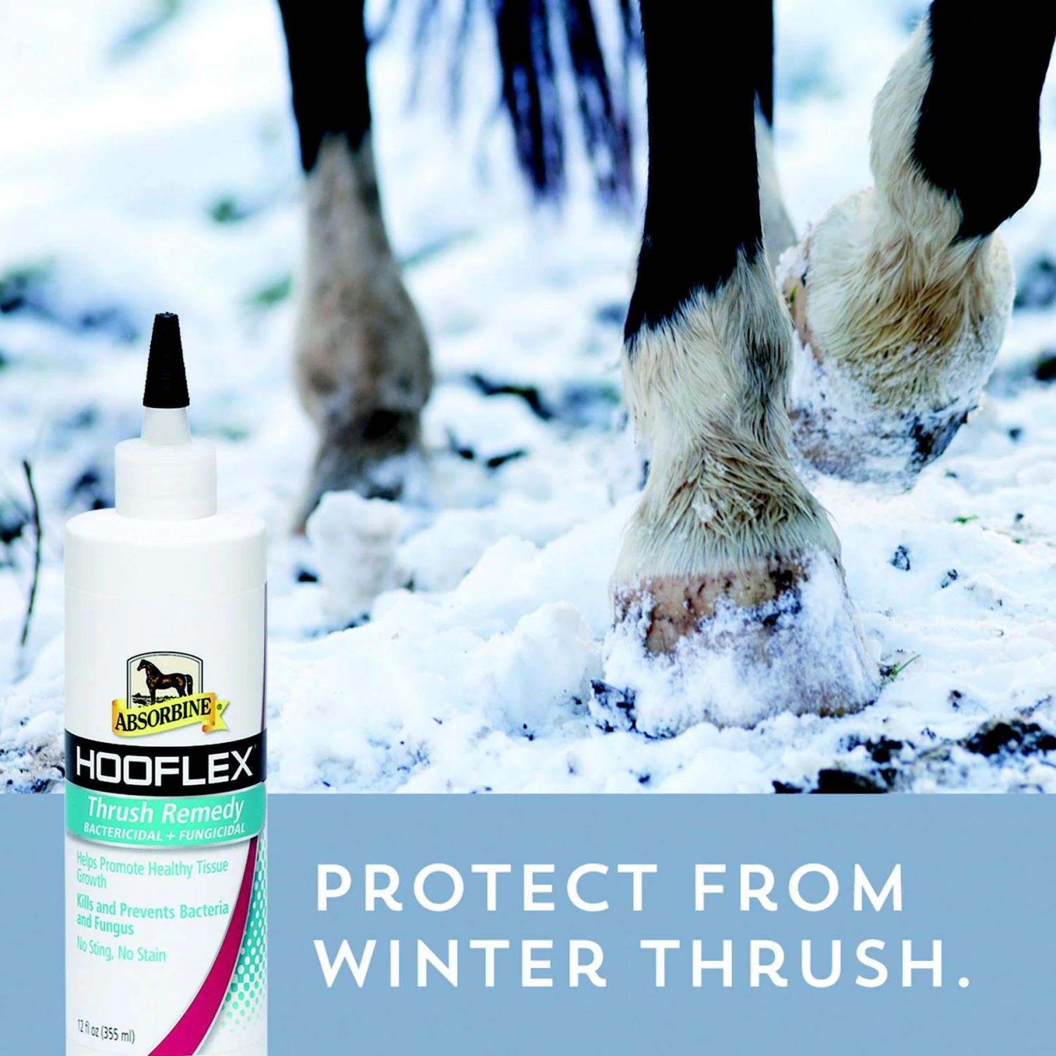 Absorbine Hooflex Thrush Remedy Bactericidal & Fungicidal Horse Thrush Treatment 3 Absorbine Hooflex Thrush Remedy Bactericidal & Fungicidal Horse Thrush Treatment - Image 3