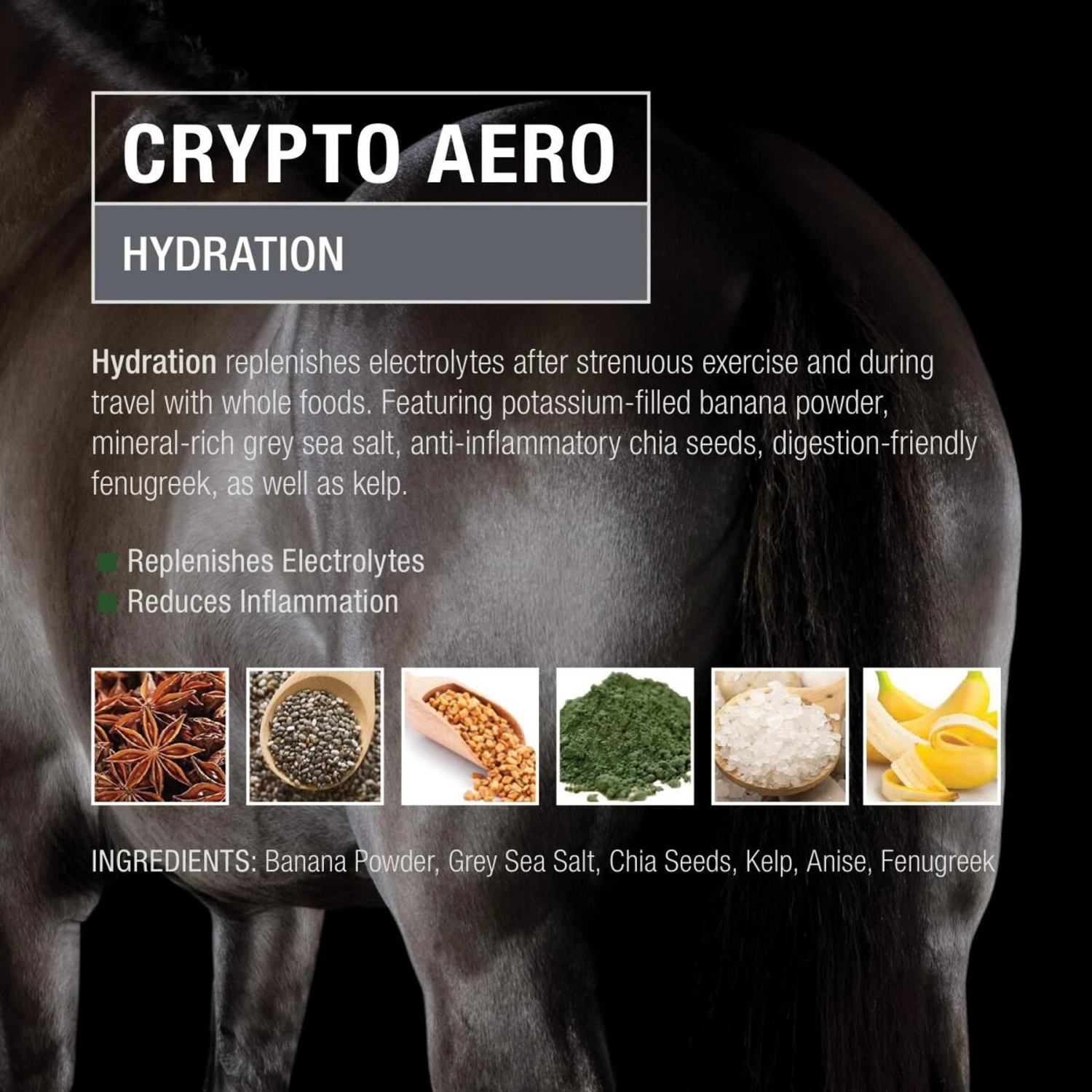 Crypto Aero Hydration & Recovery Powder Horse Supplement 2 Crypto Aero Hydration & Recovery Powder Horse Supplement - Image 2