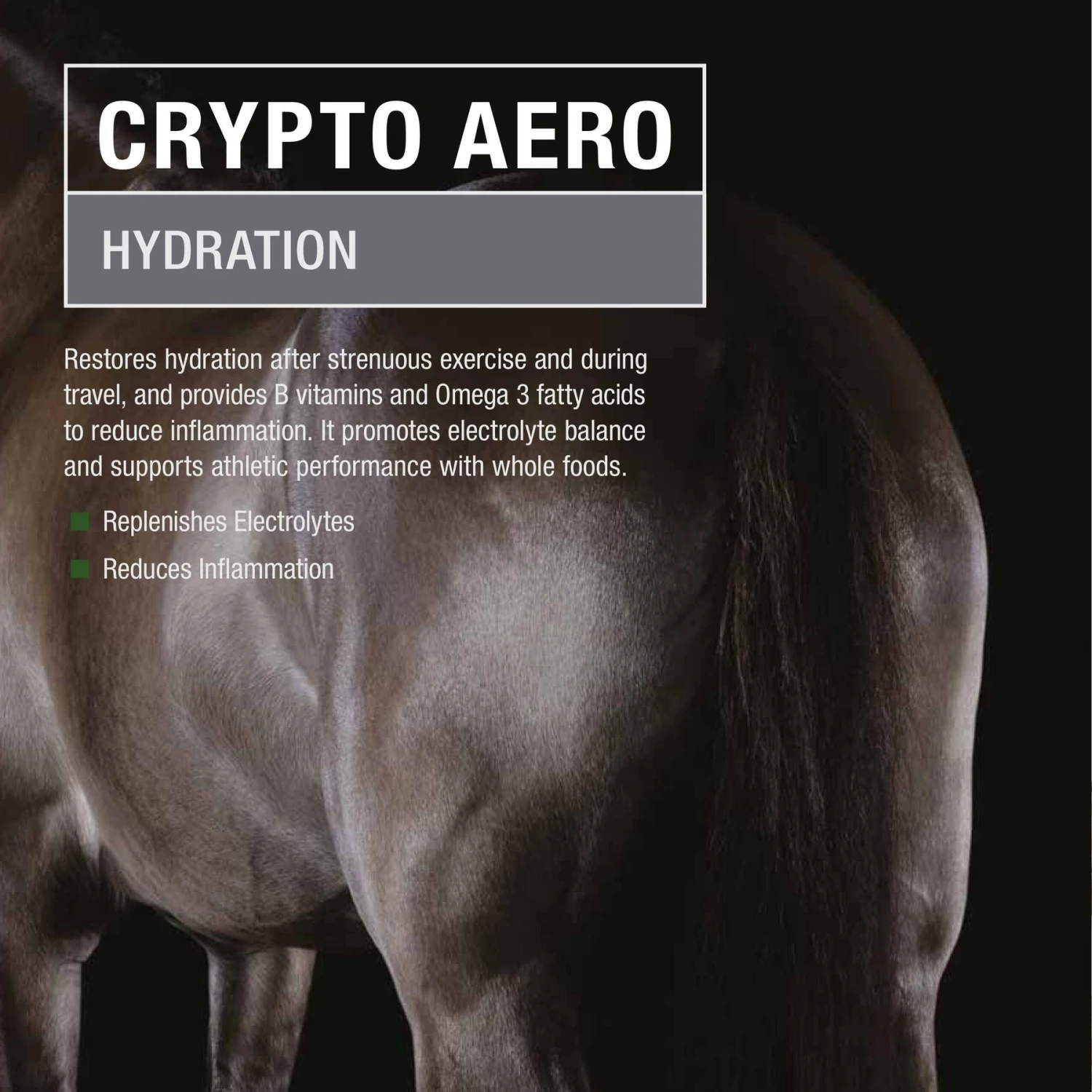 Crypto Aero Hydration & Recovery Powder Horse Supplement 3 Crypto Aero Hydration & Recovery Powder Horse Supplement - Image 3