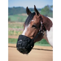 Weaver Leather Horse Grazing Muzzle, Black, Large -Weaver Leather || Finish Line || Cavalor Shop 200942 PT1. AC SS1800 V1681927634