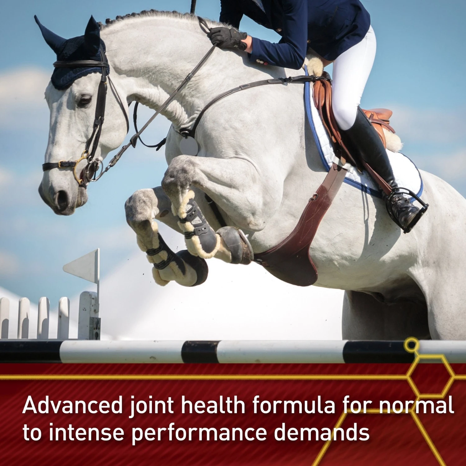 Vita Flex Pro Equinyl Combo Joint Formula Powder Horse Supplement 3 Vita Flex Pro Equinyl Combo Joint Formula Powder Horse Supplement - Image 3