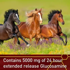 Vita Flex Pro Equinyl Combo Joint Formula Powder Horse Supplement 12 Vita Flex Pro Equinyl Combo Joint Formula Powder Horse Supplement -Weaver Leather || Finish Line || Cavalor Shop 201799 PT4. AC SS1800 V1646854340