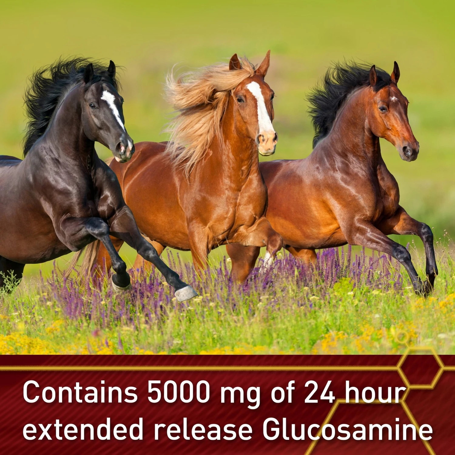 Vita Flex Pro Equinyl Combo Joint Formula Powder Horse Supplement 5 Vita Flex Pro Equinyl Combo Joint Formula Powder Horse Supplement - Image 5