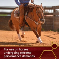 Vita Flex Pro Equinyl Joint Formula & Hyaluronic Acid Powder Horse Supplement 9 Vita Flex Pro Equinyl Joint Formula & Hyaluronic Acid Powder Horse Supplement -Weaver Leather || Finish Line || Cavalor Shop 201806 PT2. AC SS1800 V1646842616