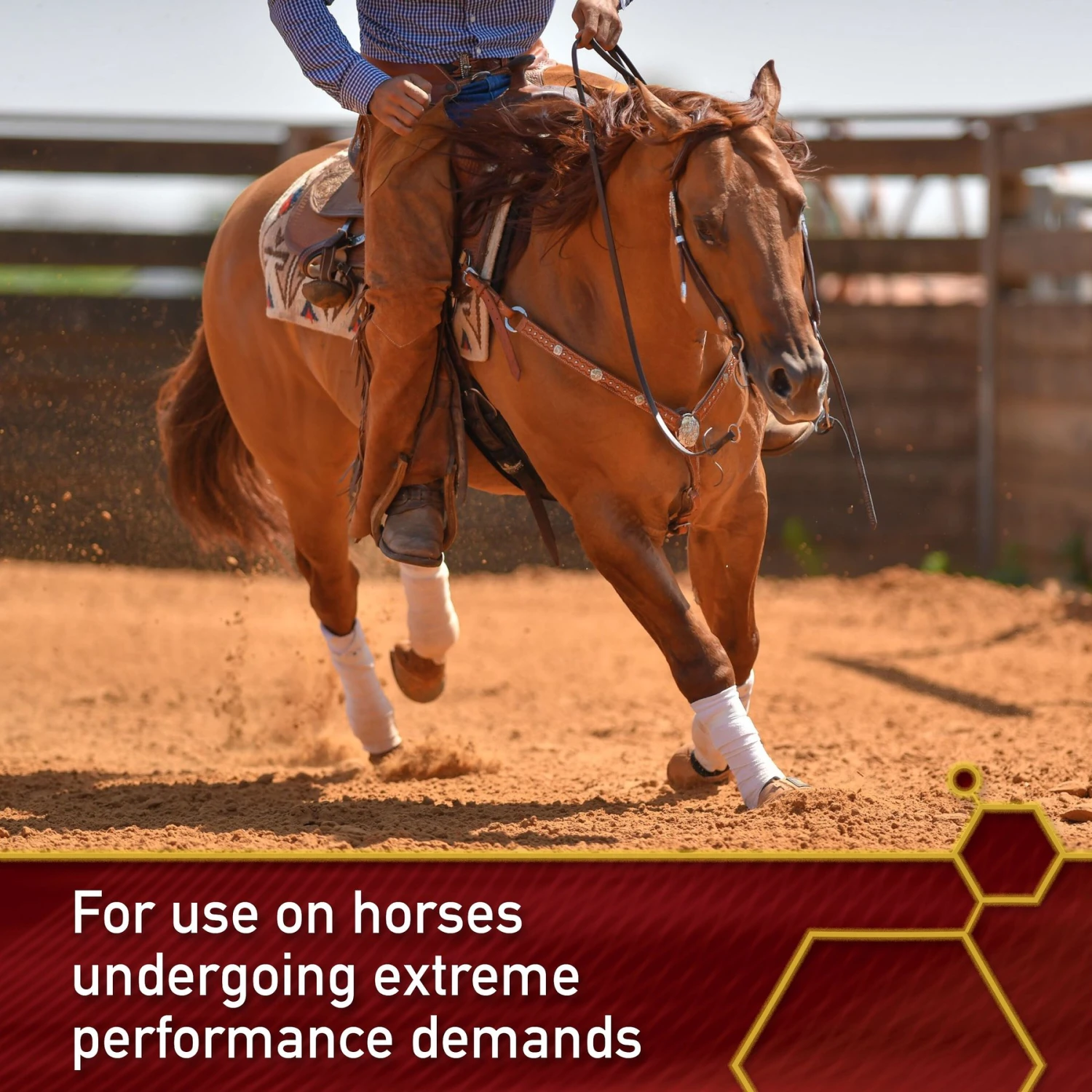 Vita Flex Pro Equinyl Joint Formula & Hyaluronic Acid Powder Horse Supplement 3 Vita Flex Pro Equinyl Joint Formula & Hyaluronic Acid Powder Horse Supplement - Image 3