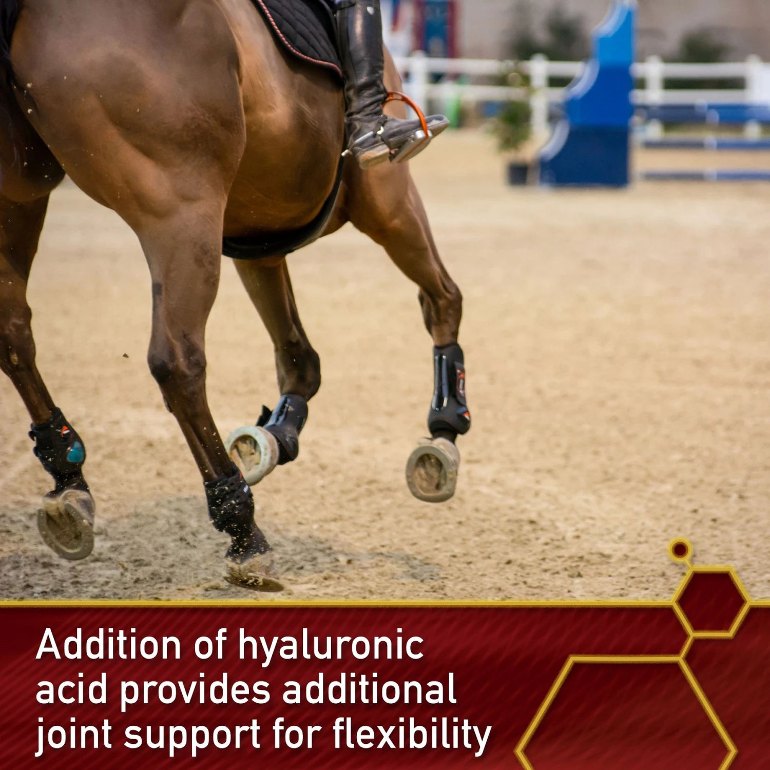 Vita Flex Pro Equinyl Joint Formula & Hyaluronic Acid Powder Horse Supplement 4 Vita Flex Pro Equinyl Joint Formula & Hyaluronic Acid Powder Horse Supplement - Image 4
