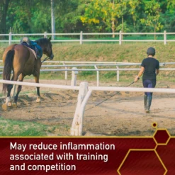 Vita Flex Pro Equinyl Joint Formula & Hyaluronic Acid Powder Horse Supplement 11 Vita Flex Pro Equinyl Joint Formula & Hyaluronic Acid Powder Horse Supplement -Weaver Leather || Finish Line || Cavalor Shop 201806 PT4. AC SS1800 V1646854410