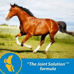 Farnam FluidFlex Joint Solution Liquid Horse Supplement -Weaver Leather || Finish Line || Cavalor Shop 202460 pt3. AC SS1800 V1569350257
