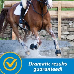 Farnam FluidFlex Joint Solution Liquid Horse Supplement -Weaver Leather || Finish Line || Cavalor Shop 202460 pt6. AC SS1800 V1569350338