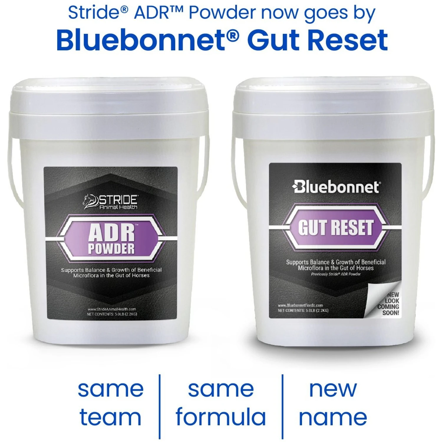 Stride Animal Health ADR Powder Digestive Horse Supplement 2 Stride Animal Health ADR Powder Digestive Horse Supplement - Image 2