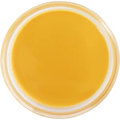 Kentucky Equine Research Nano-Q10 Antioxidant Liquid Horse Supplement, 15-oz Bottle -Weaver Leather || Finish Line || Cavalor Shop 203906 PT3. AC SS1800 V1704320912