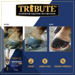 Tribute Equine Nutrition Tough As Nails Hoof Health Pellets Horse Supplement, 11-lb Bag 9 Tribute Equine Nutrition Tough As Nails Hoof Health Pellets Horse Supplement, 11-lb Bag -Weaver Leather || Finish Line || Cavalor Shop 205934 PT4. AC SS1800 V1682113778