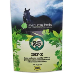 Silver Lining Herbs INF-X Immune Support Powder Horse Supplement, 1-lb Bag