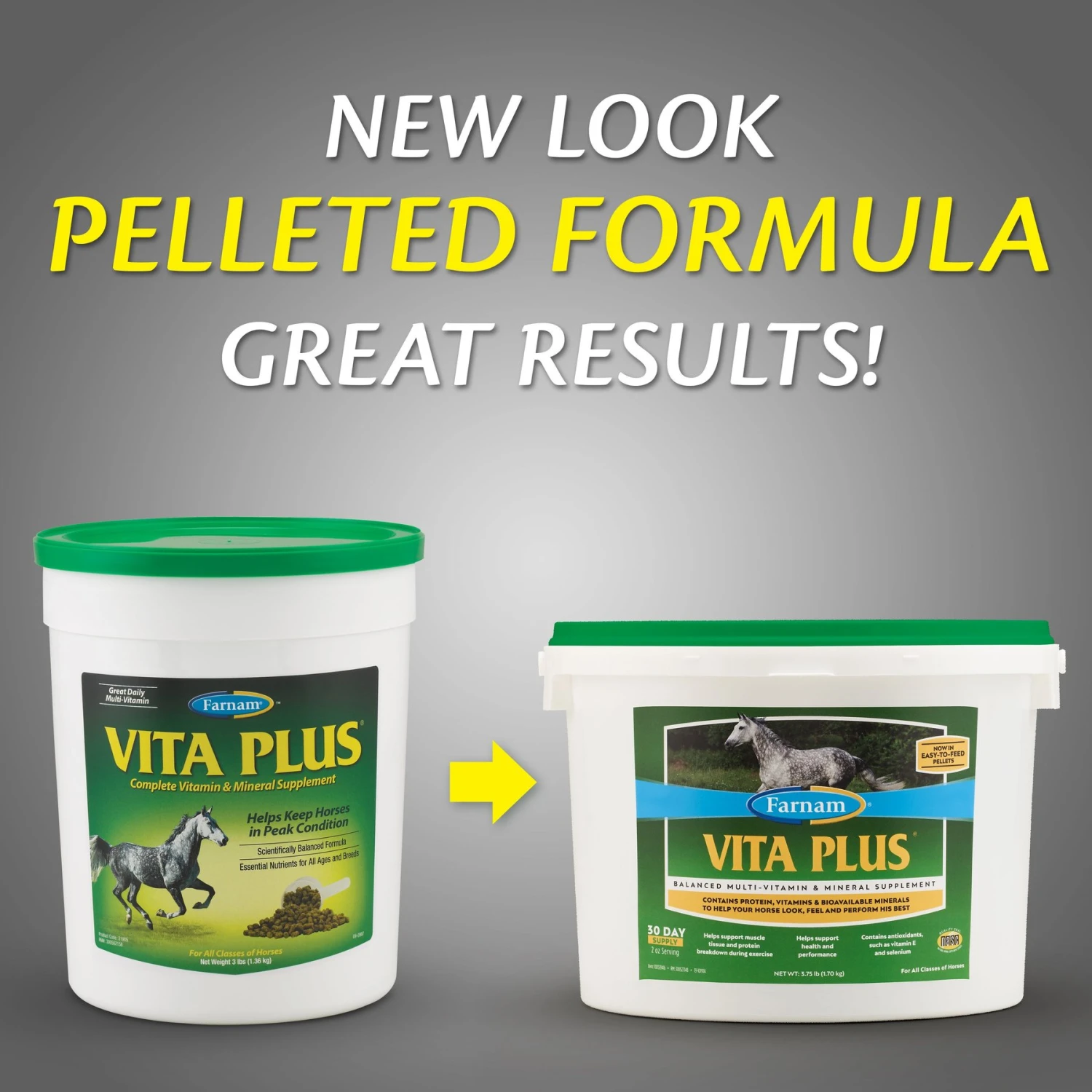 Farnam Vita Plus Balanced Multi-Vitamin & Mineral Pellets Horse Supplement 2 Farnam Vita Plus Balanced Multi-Vitamin & Mineral Pellets Horse Supplement - Image 2
