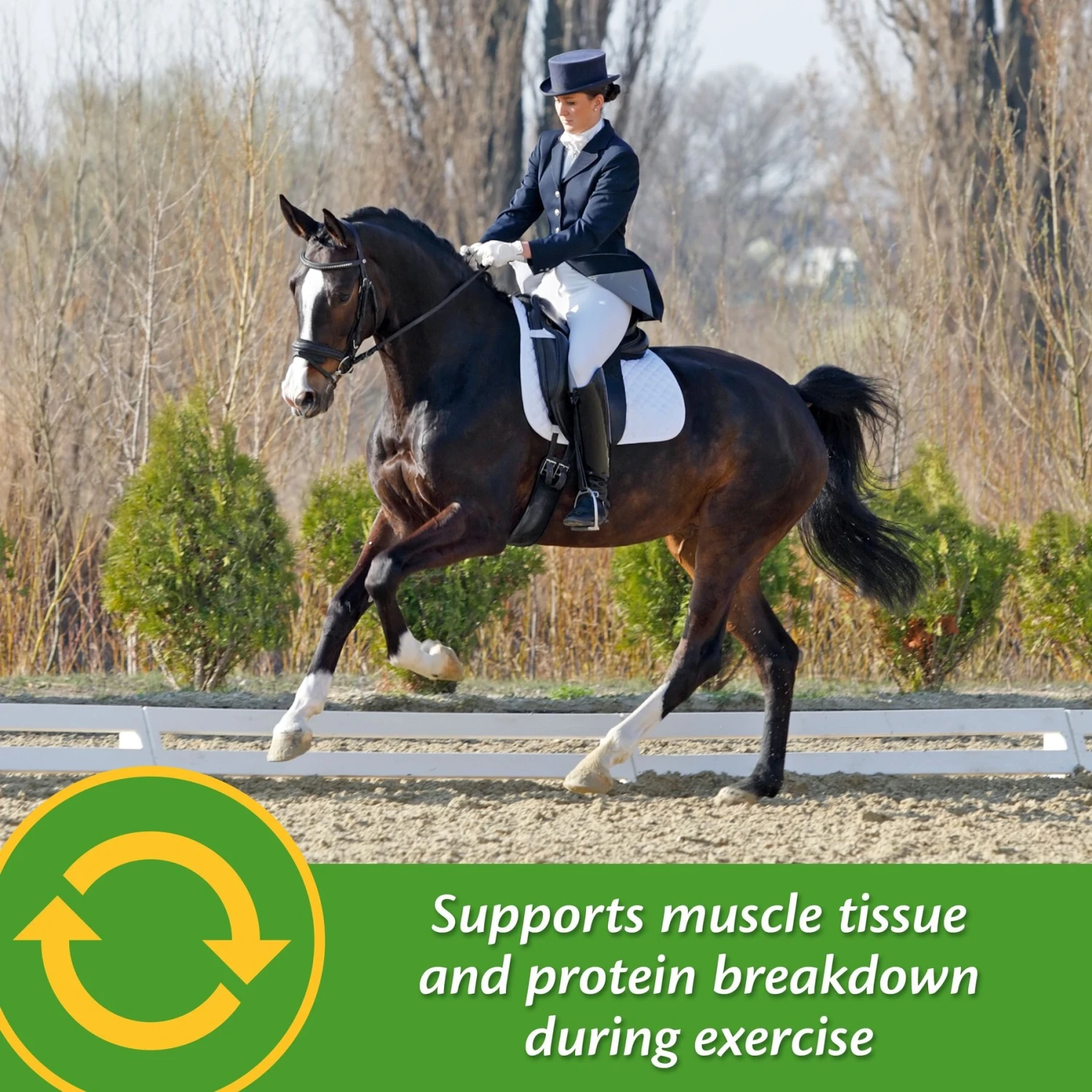 Farnam Vita Plus Balanced Multi-Vitamin & Mineral Pellets Horse Supplement 4 Farnam Vita Plus Balanced Multi-Vitamin & Mineral Pellets Horse Supplement - Image 4