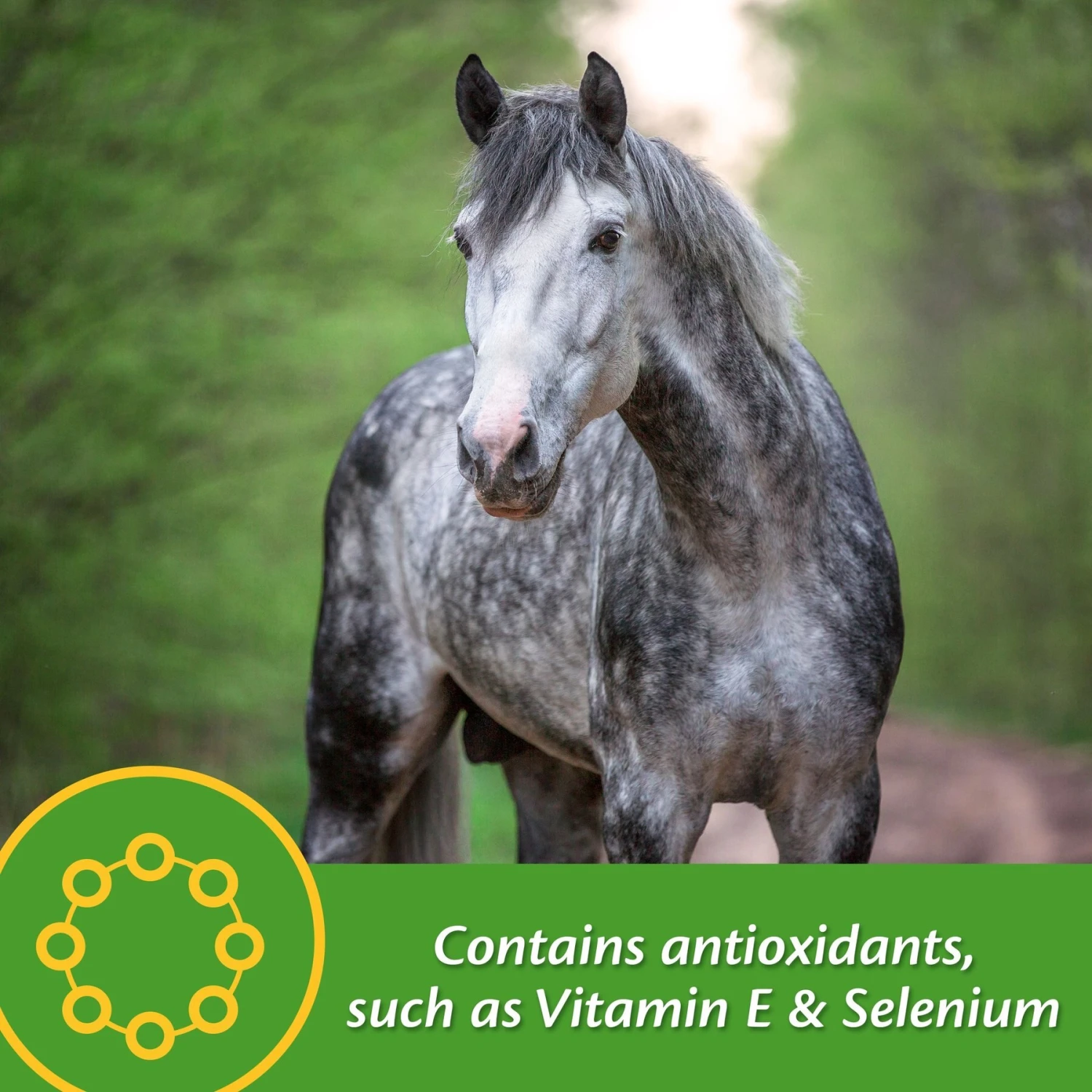 Farnam Vita Plus Balanced Multi-Vitamin & Mineral Pellets Horse Supplement 5 Farnam Vita Plus Balanced Multi-Vitamin & Mineral Pellets Horse Supplement - Image 5