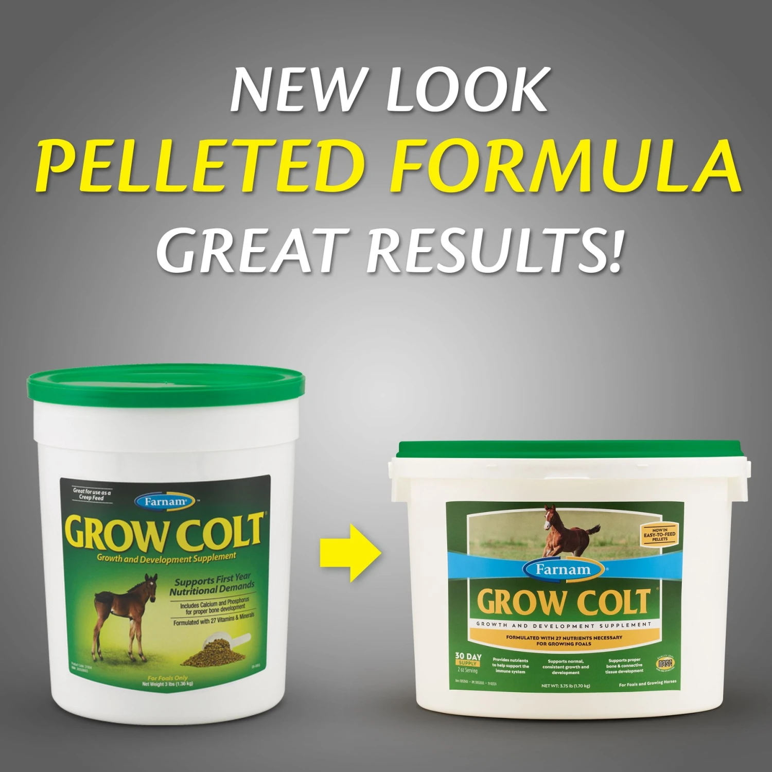Farnam Grow Colt Growth & Development Pellets Horse Supplement 2 Farnam Grow Colt Growth & Development Pellets Horse Supplement - Image 2