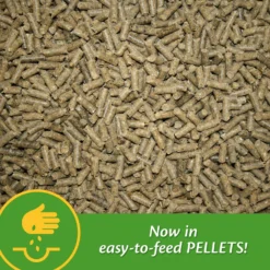 Farnam Grow Colt Growth & Development Pellets Horse Supplement 13 Farnam Grow Colt Growth & Development Pellets Horse Supplement -Weaver Leather || Finish Line || Cavalor Shop 208114 PT5. AC SS1800 V1661830216