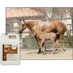 UltraCruz Flax Oil Blend Skin, Coat & Hoof Care Liquid Horse Supplement 6 UltraCruz Flax Oil Blend Skin, Coat & Hoof Care Liquid Horse Supplement -Weaver Leather || Finish Line || Cavalor Shop 211049 PT2. AC SS1800 V1702598266