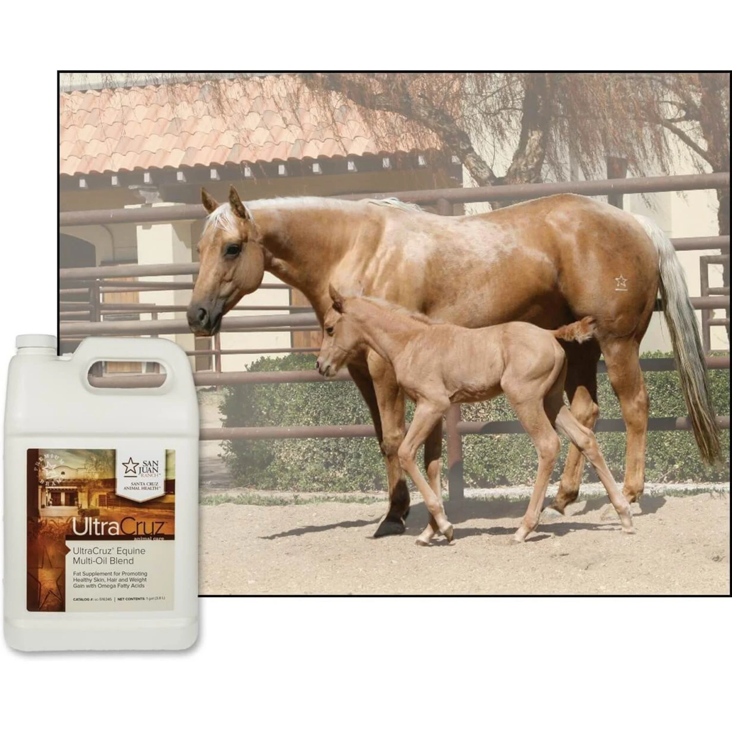 UltraCruz Multi-Oil Blend Skin & Coat Care Liquid Horse Supplement 3 UltraCruz Multi-Oil Blend Skin & Coat Care Liquid Horse Supplement - Image 3