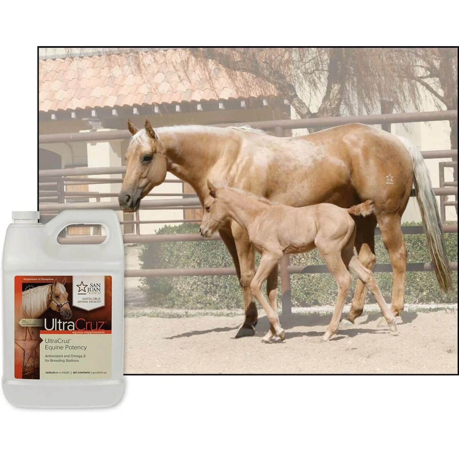 UltraCruz Potency Liquid Horse Supplement, 1-gal Bottle 3 UltraCruz Potency Liquid Horse Supplement, 1-gal Bottle - Image 3