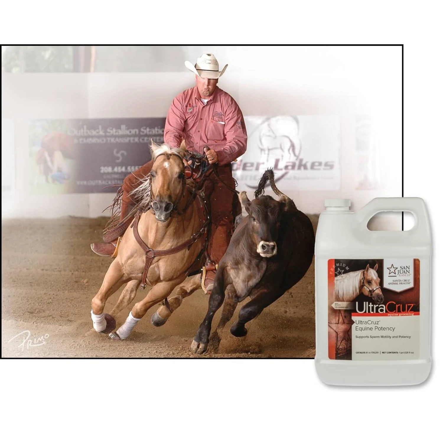UltraCruz Potency Liquid Horse Supplement, 1-gal Bottle 4 UltraCruz Potency Liquid Horse Supplement, 1-gal Bottle - Image 4