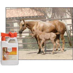 UltraCruz Liniment Horse Wash Spray, 32-oz Bottle 6 UltraCruz Liniment Horse Wash Spray, 32-oz Bottle -Weaver Leather || Finish Line || Cavalor Shop 211206 PT2. AC SS1800 V1701362795