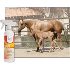 UltraCruz Fast Track Herbal Horse Liniment Spray -Weaver Leather || Finish Line || Cavalor Shop 211208 PT3. AC SS1800 V1702598320