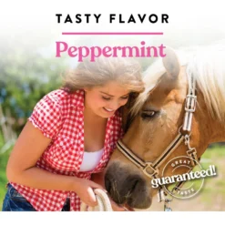 Manna Pro Bite-Size Nuggets Peppermint Flavored Horse Training Treats 12 Manna Pro Bite-Size Nuggets Peppermint Flavored Horse Training Treats -Weaver Leather || Finish Line || Cavalor Shop 218741 PT4. AC SS1800 V1666386082