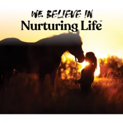 Manna Pro Bite-Size Nuggets Peppermint Flavored Horse Training Treats 13 Manna Pro Bite-Size Nuggets Peppermint Flavored Horse Training Treats -Weaver Leather || Finish Line || Cavalor Shop 218741 PT5. AC SS1800 V1666385724