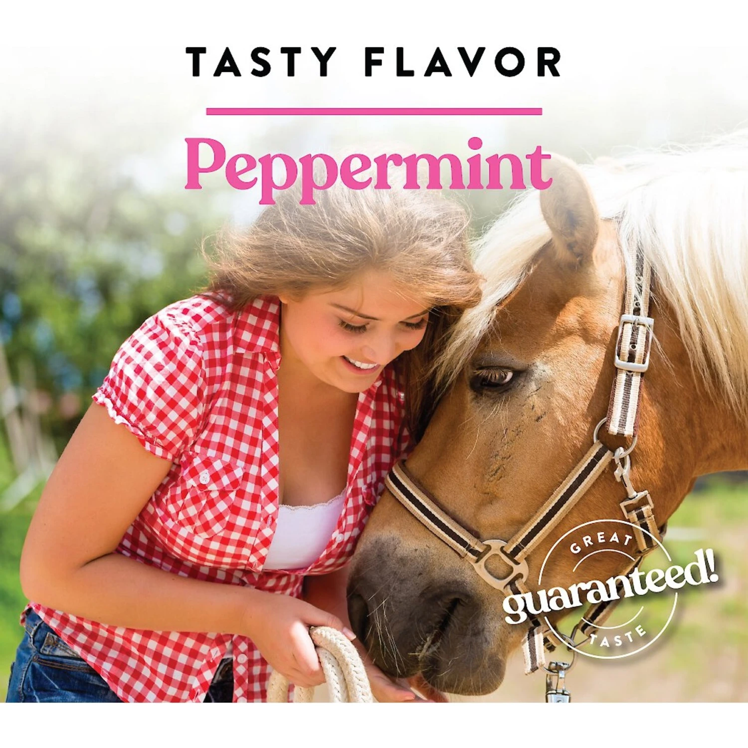 Manna Pro Bite-Size Nuggets Peppermint Flavored Horse Training Treats 8 Manna Pro Bite-Size Nuggets Peppermint Flavored Horse Training Treats - Image 8