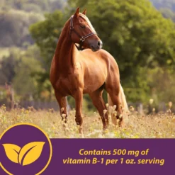 Horse Health Products Vita B-1 Crumbles For Optimal Muscle & Metabolism Support Horse Supplement -Weaver Leather || Finish Line || Cavalor Shop 227054 pt4. AC SS1800 V1584471064