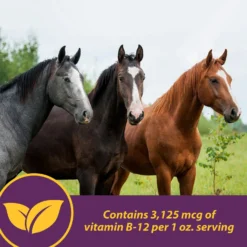 Horse Health Products Vita B-12 Crumbles Horse Vitamin Supplement, 3-lb Bucket -Weaver Leather || Finish Line || Cavalor Shop 227057 pt4. AC SS1800 V1584473013