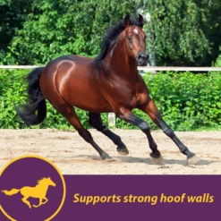 Horse Health Products Vita Biotin Crumbles, Supports Proper Hoof Health In Horses 20 Pounds -Weaver Leather || Finish Line || Cavalor Shop 227059 pt4. AC SS1800 V1584472960