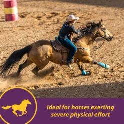 Horse Health Products Vita-E & Selenium Crumbles Horse Supplement -Weaver Leather || Finish Line || Cavalor Shop 227061 pt4. AC SS1800 V1584472860