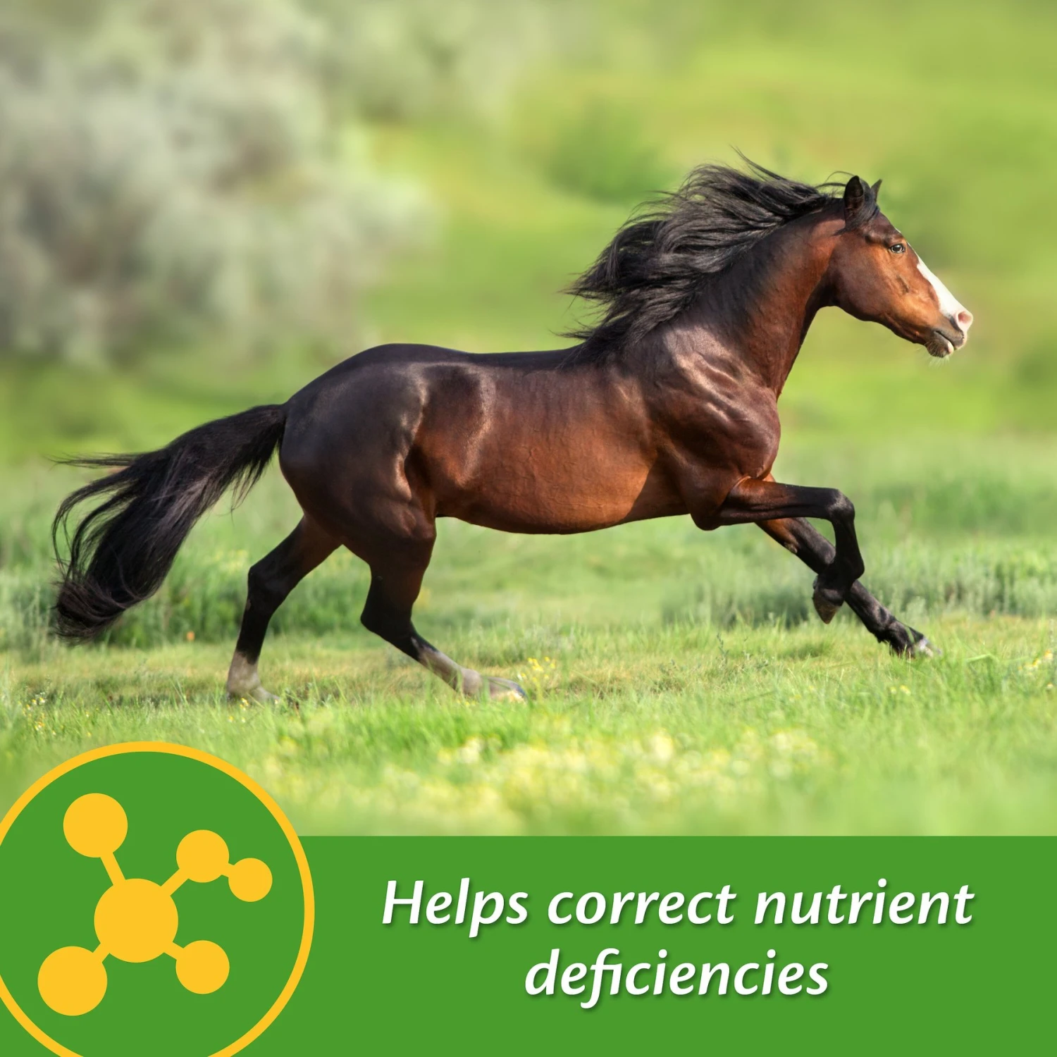 Farnam Vita-Min E & Selenium Antioxidant Soft Chew Horse Supplement, 3-lb Bucket 2 Farnam Vita-Min E & Selenium Antioxidant Soft Chew Horse Supplement, 3-lb Bucket - Image 2