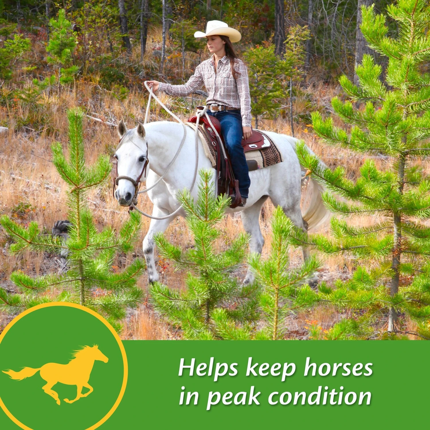 Farnam Vita-Min E & Selenium Antioxidant Soft Chew Horse Supplement, 3-lb Bucket 3 Farnam Vita-Min E & Selenium Antioxidant Soft Chew Horse Supplement, 3-lb Bucket - Image 3