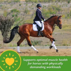 Farnam Vita-Min E & Selenium Antioxidant Soft Chew Horse Supplement, 3-lb Bucket 9 Farnam Vita-Min E & Selenium Antioxidant Soft Chew Horse Supplement, 3-lb Bucket -Weaver Leather || Finish Line || Cavalor Shop 227064 pt4. AC SS1800 V1584473179