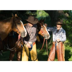 Weaver Leather Working Tack Economy Horse Browband Headstall 8 Weaver Leather Working Tack Economy Horse Browband Headstall -Weaver Leather || Finish Line || Cavalor Shop 231383 PT2. AC SS1800 V1681937680