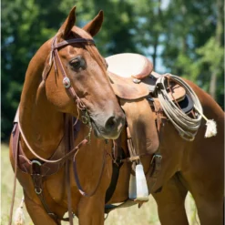 Weaver Leather Working Tack Economy Horse Browband Headstall 11 Weaver Leather Working Tack Economy Horse Browband Headstall -Weaver Leather || Finish Line || Cavalor Shop 231383 PT5. AC SS1800 V1681924681