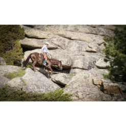 Weaver Leather Basin Cowboy Spur Straps -Weaver Leather || Finish Line || Cavalor Shop 231410 PT2. AC SS1800 V1681925775