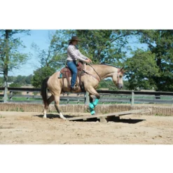 Weaver Leather AirFlex Roper Cinch & Roll Snug Horse Cinch Buckle 13 Weaver Leather AirFlex Roper Cinch & Roll Snug Horse Cinch Buckle -Weaver Leather || Finish Line || Cavalor Shop 231481 PT4. AC SS1800 V1681930921