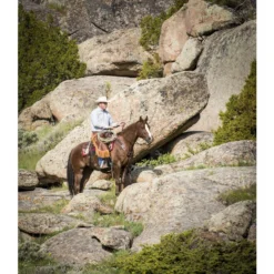 Weaver Leather AirFlex Roper Cinch & Roll Snug Horse Cinch Buckle 15 Weaver Leather AirFlex Roper Cinch & Roll Snug Horse Cinch Buckle -Weaver Leather || Finish Line || Cavalor Shop 231481 PT6. AC SS1800 V1681925845