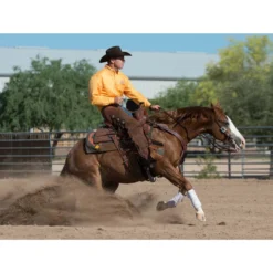 Weaver Leather Working Tack Contoured Horse Breast Collar -Weaver Leather || Finish Line || Cavalor Shop 231532 PT5. AC SS1800 V1681933163