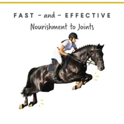 Corta-Flx Powder Joint & Connective Tissue Support Horse Supplement, 8-lb Bucket 8 Corta-Flx Powder Joint & Connective Tissue Support Horse Supplement, 8-lb Bucket -Weaver Leather || Finish Line || Cavalor Shop 233892 PT3. AC SS1800 V1632955278