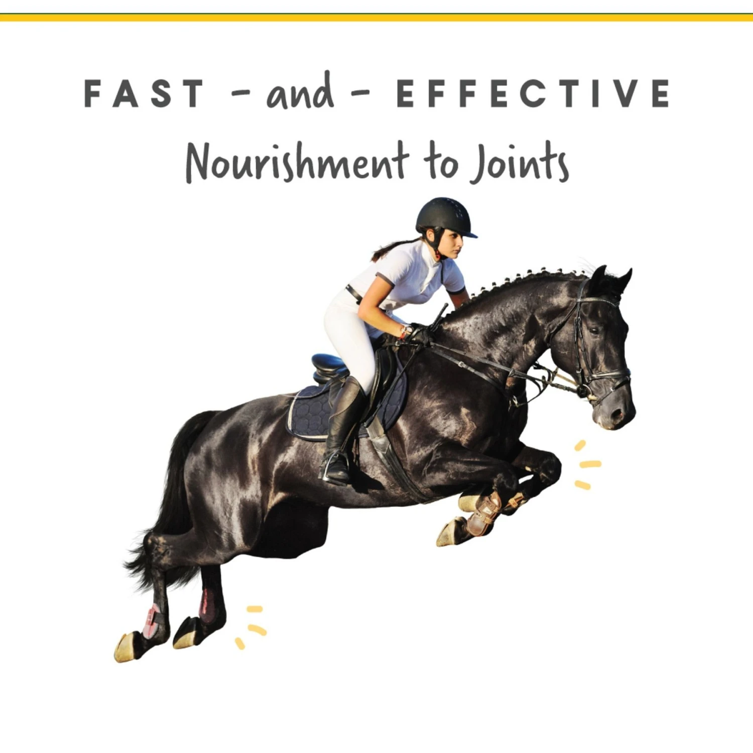 Corta-Flx Powder Joint & Connective Tissue Support Horse Supplement, 8-lb Bucket 3 Corta-Flx Powder Joint & Connective Tissue Support Horse Supplement, 8-lb Bucket - Image 3