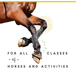 Corta-Flx Powder Joint & Connective Tissue Support Horse Supplement, 8-lb Bucket 9 Corta-Flx Powder Joint & Connective Tissue Support Horse Supplement, 8-lb Bucket -Weaver Leather || Finish Line || Cavalor Shop 233892 PT4. AC SS1800 V1632959783