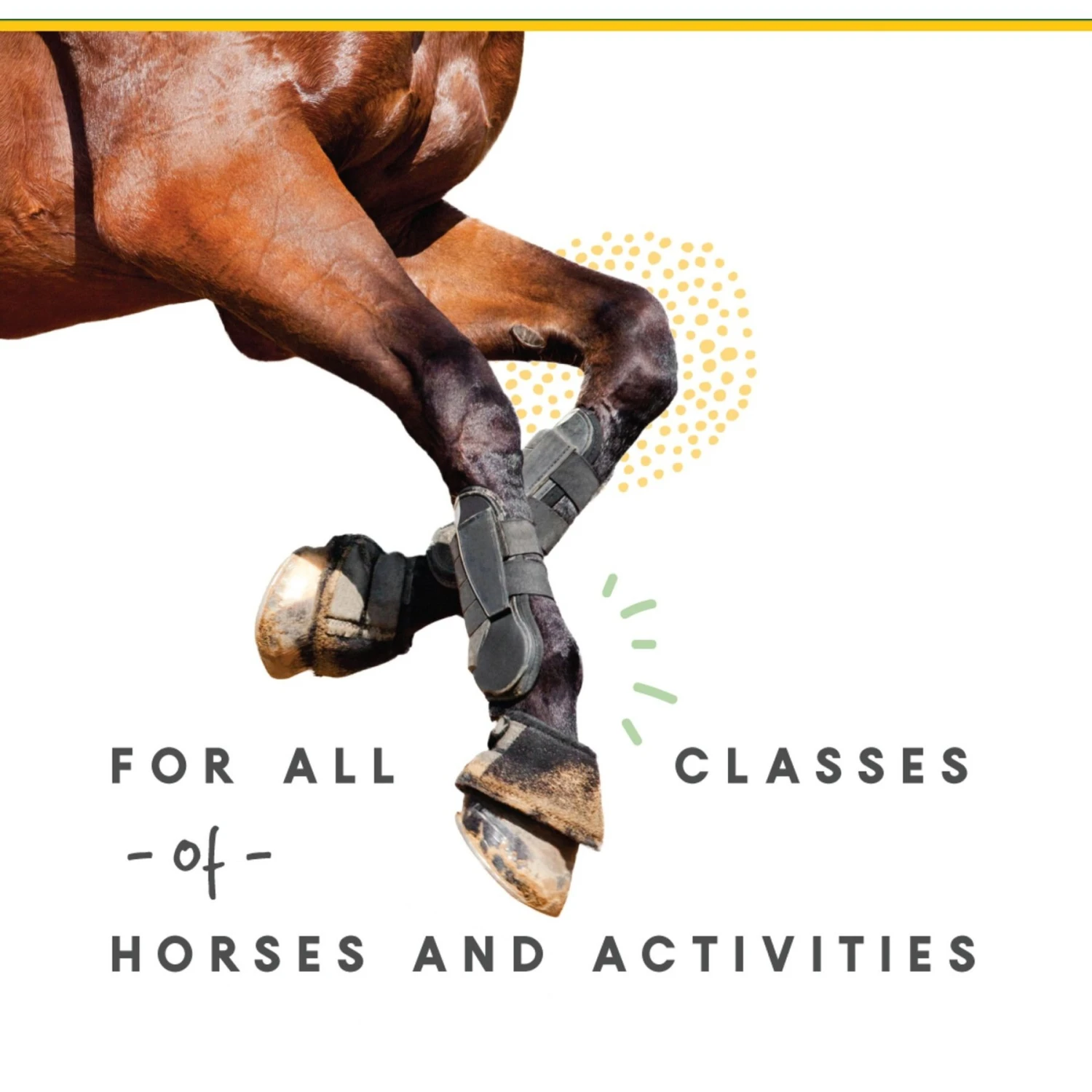 Corta-Flx Powder Joint & Connective Tissue Support Horse Supplement, 8-lb Bucket 4 Corta-Flx Powder Joint & Connective Tissue Support Horse Supplement, 8-lb Bucket - Image 4