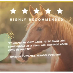 Corta-Flx Powder Joint & Connective Tissue Support Horse Supplement, 8-lb Bucket 11 Corta-Flx Powder Joint & Connective Tissue Support Horse Supplement, 8-lb Bucket -Weaver Leather || Finish Line || Cavalor Shop 233892 PT6. AC SS1800 V1632958581